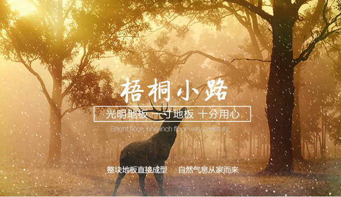 實木地板防潮小妙招，親測有效！