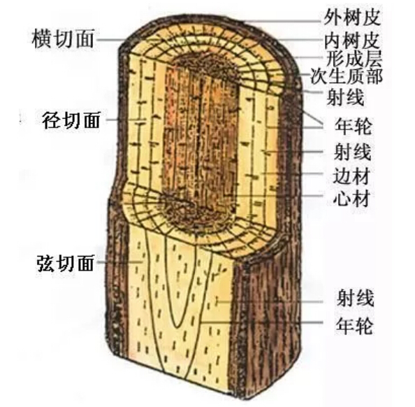 實木家具有色差正常嗎！實木家具色差有原因！